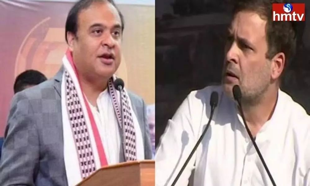 Assam CM counter to Rahul Gandhi