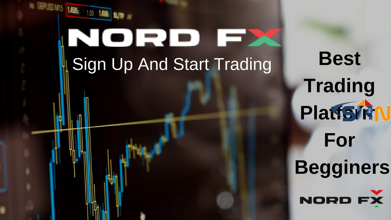 Best Forex Trading Platform For Beginners 