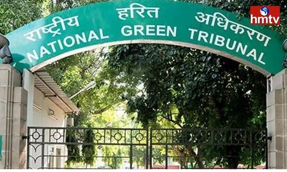 NGT Shock to AP Government‌