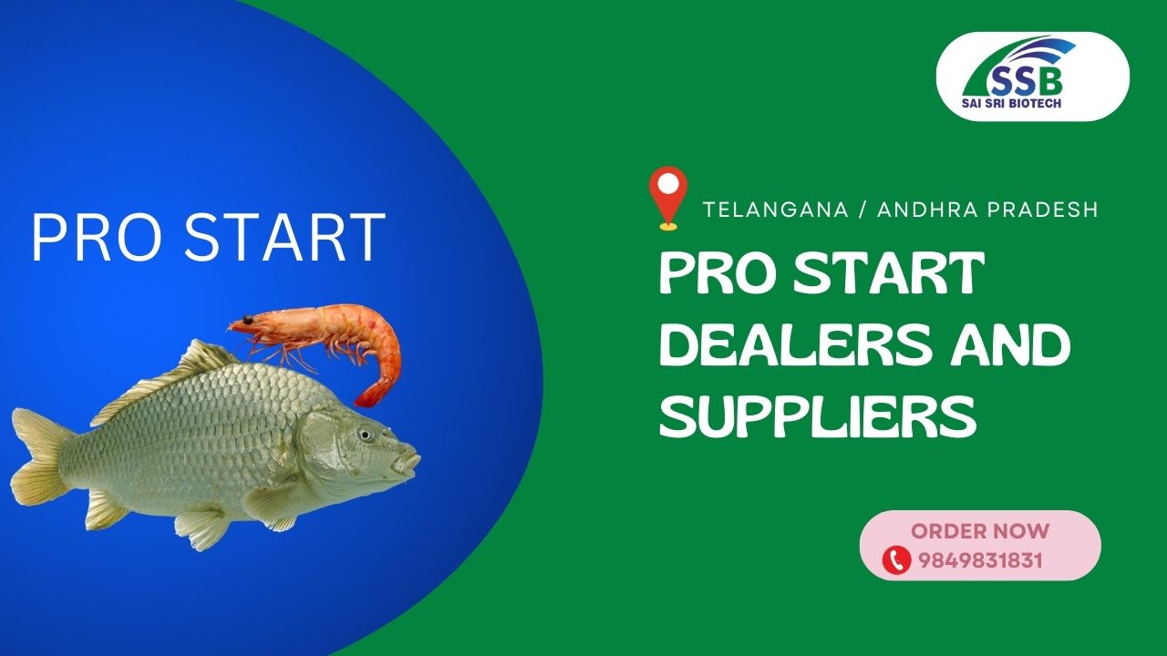 Pro Start   Dealers and Suppliers
