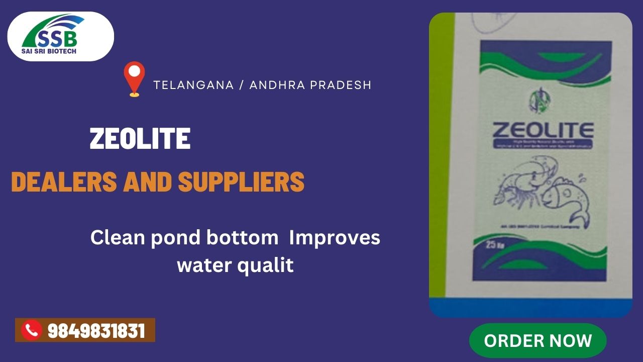 Zeolite Dealers and Suppliers