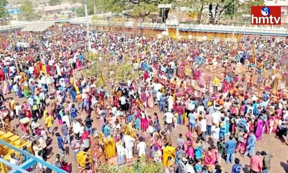 The Noise of Devotees in Medaram
