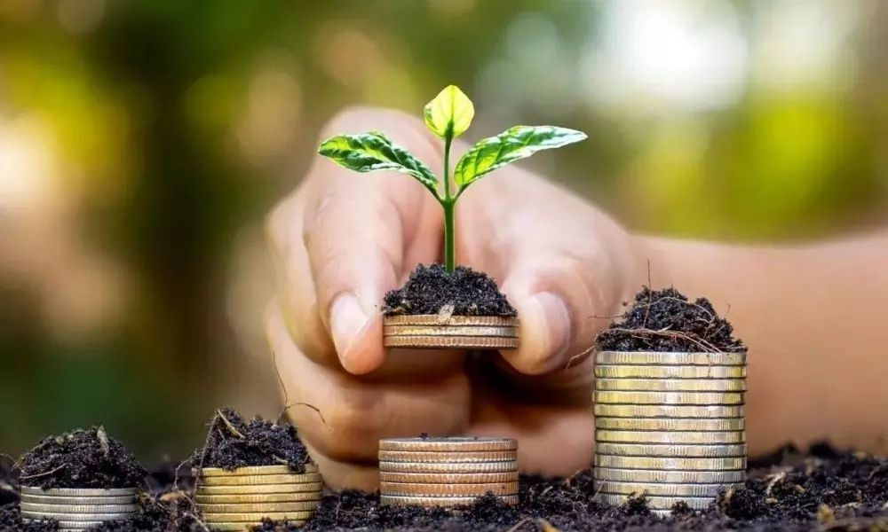 Which of the mutual funds' dividend and growth funds is better