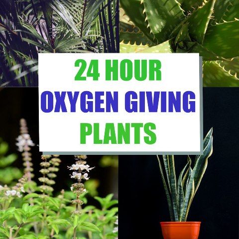 oxygen plants